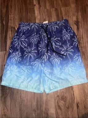 Source Unknown Blue Ombre Palm Boys Swim Trunks